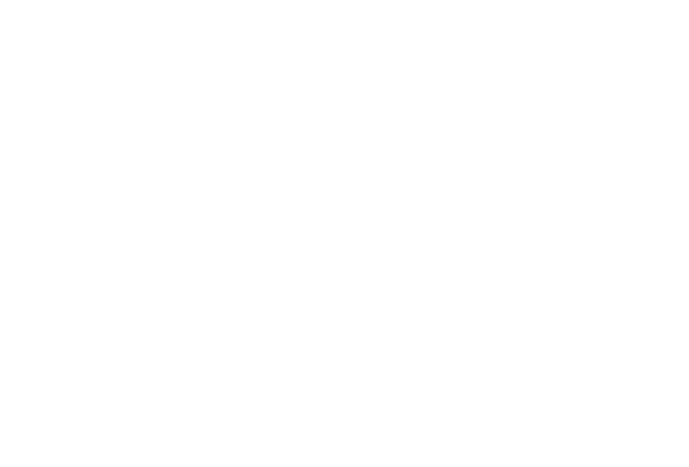 De Chile a tu paladar